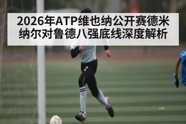 2026年ATP维也纳公开赛德米纳尔对鲁德八强底线深度解析